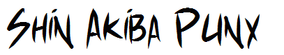 Shin Akiba Punx