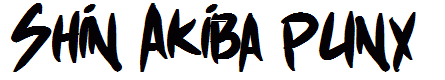 Shin Akiba punx
