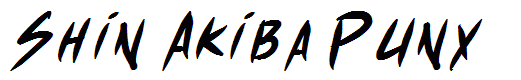 Shin Akiba Punx