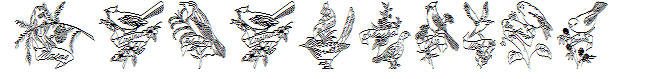 StateBirds