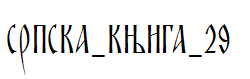 SRPSKA_KNIGA_29