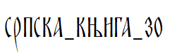 SRPSKA_KNIGA_30