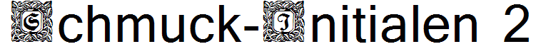 Schmuck-Initialen 2