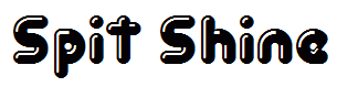 Spit Shine