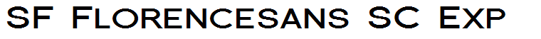 SF Florencesans SC Exp