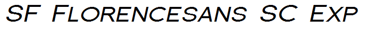 SF Florencesans SC Exp
