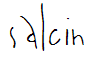 salcin