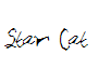 Star Cat 
