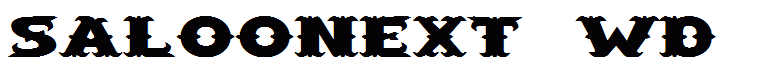 SaloonExt Wd