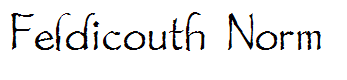 Feldicouth Norm