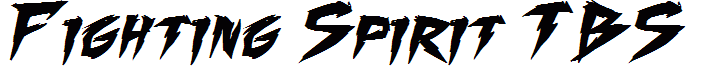 Fighting Spirit TBS