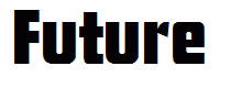 Future