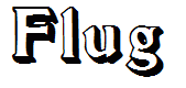 Flug