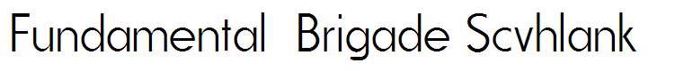 Fundamental  Brigade Scvhlank