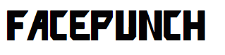 facepunch