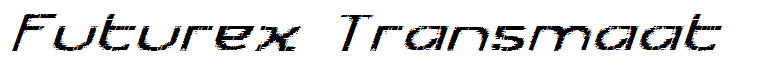 Futurex Transmaat