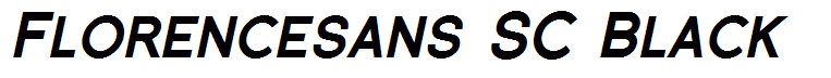 Florencesans SC Black