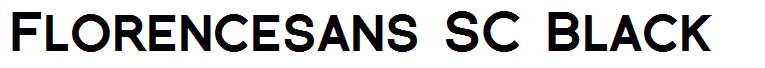 Florencesans SC Black