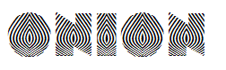 Onion