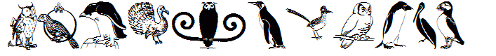 OwlsAndMore