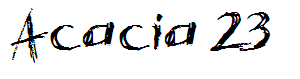 Acacia 23