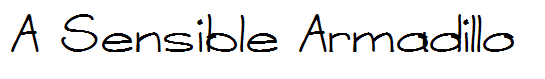 A Sensible Armadillo