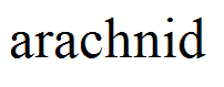 arachnid