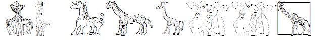 AEZ giraffes