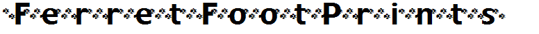 FerretFootPrints