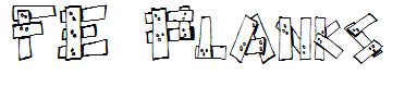 FE Planks