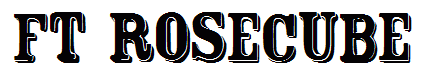 FT Rosecube