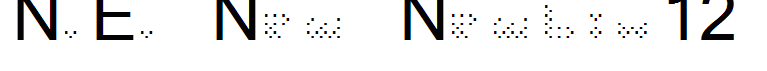 N.E. New Newbix12