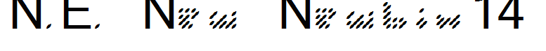 N.E. New Newbix14