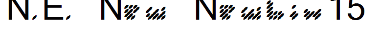 N.E. New Newbix15