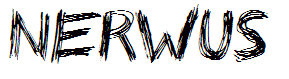 Nerwus