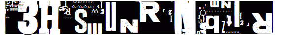 NewsRoar