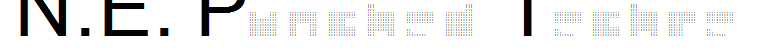 N.E. Punched Techre