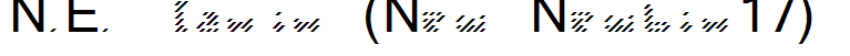 N.E. BlaxBix (New Newbix17)