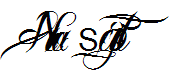 Nina Script 