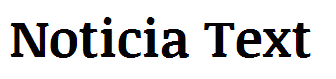 Noticia Text