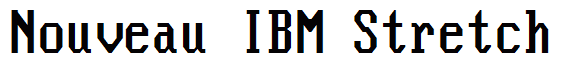 Nouveau IBM Stretch