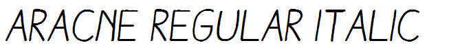 Aracne Regular Italic