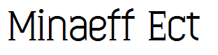 Minaeff Ect