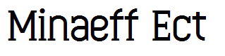 Minaeff Ect