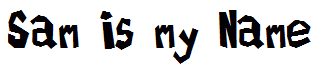 Sam is my Name