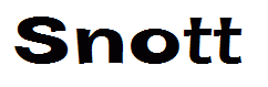 Snott