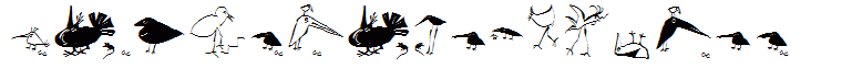SaulsRandomBirds