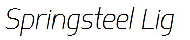 Springsteel Lig