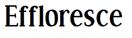 Effloresce