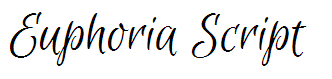 Euphoria Script